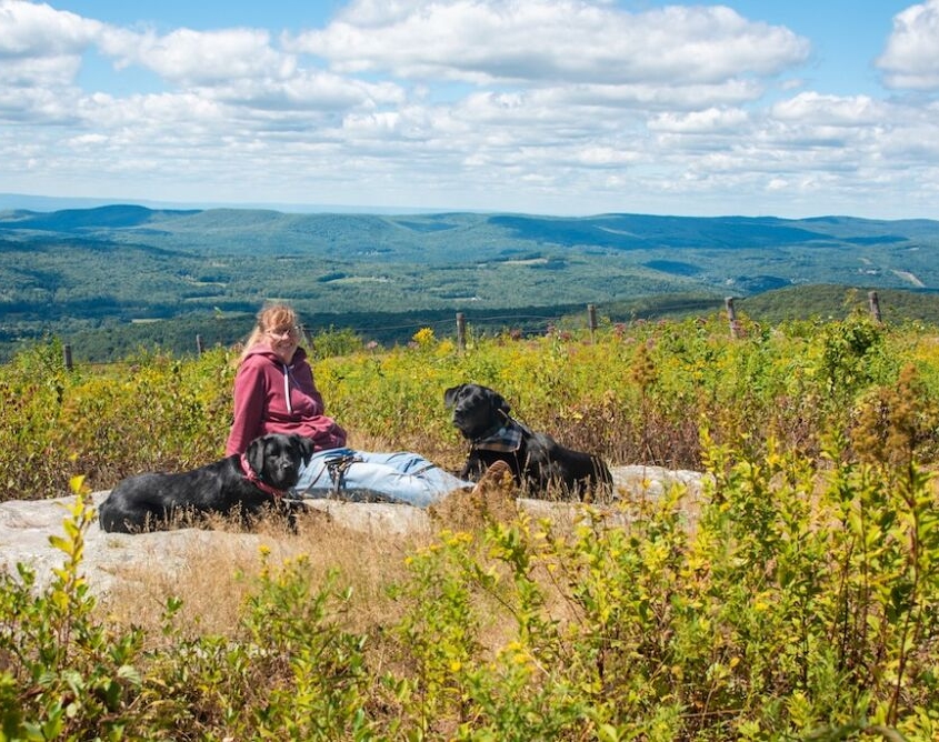 Pittsfield State Forest with dogs