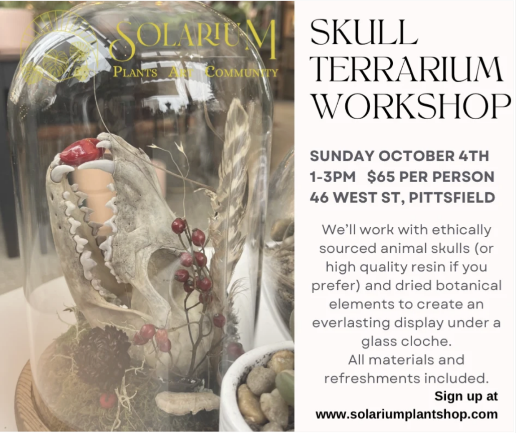 Skull Terrarium Workshop