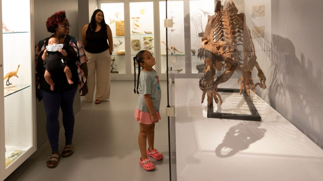 Free Day at the Berkshire Museum